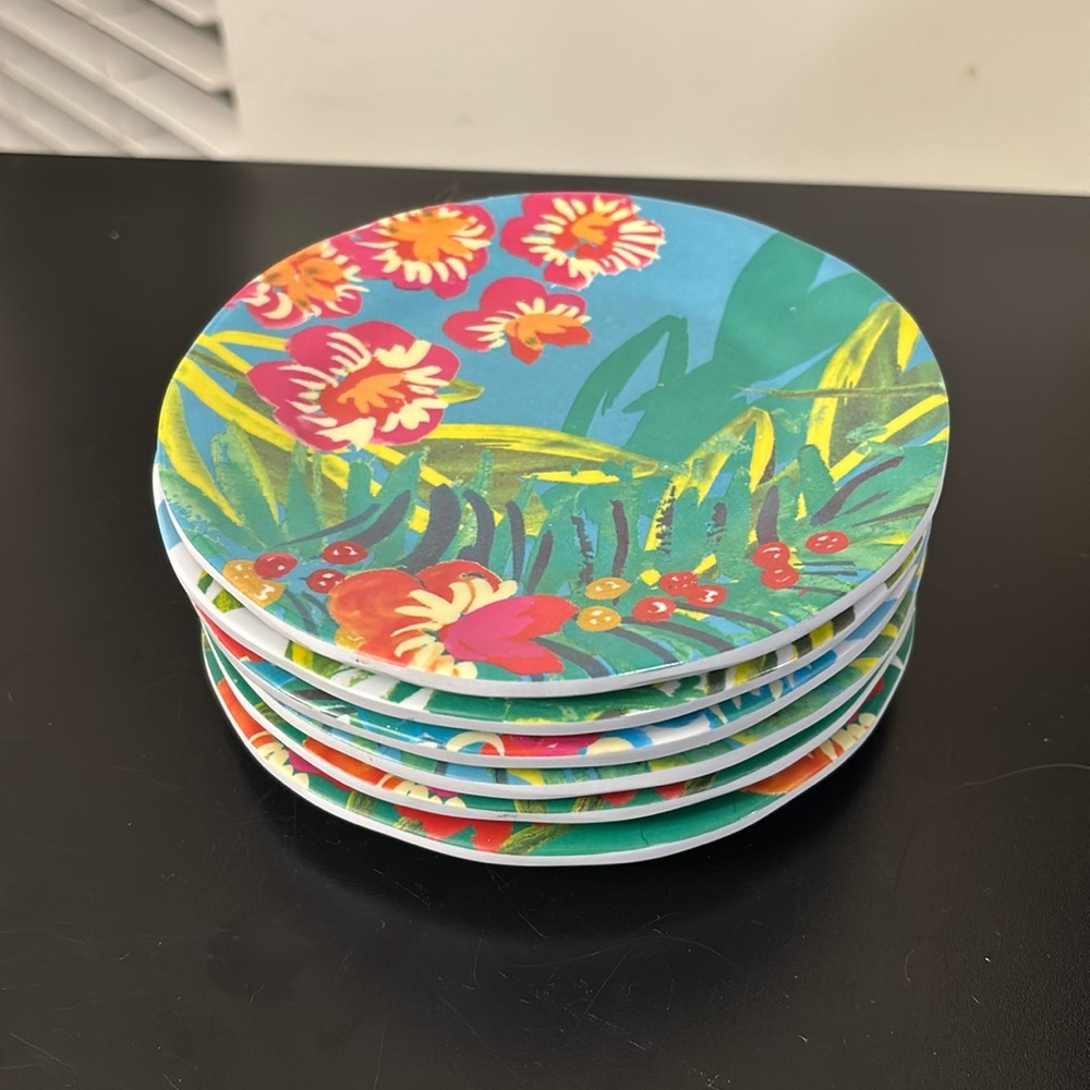 6 Plate Set